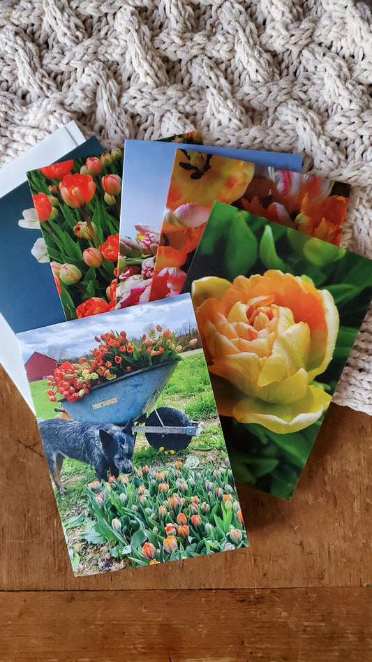 Tulip Notecards